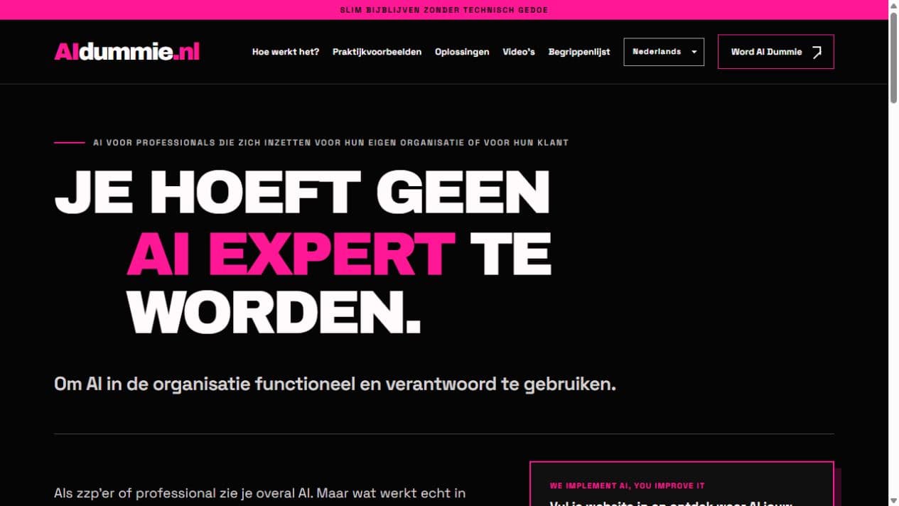 Screenshot van de openbare homepage van aidummie.nl